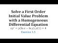 Differential Equations and Initial Conditions
