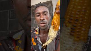 😂 Yes, it’s perfectly okay! Eating roasted corn by #corn  #nigeriancomedy  #viralvideoshorts