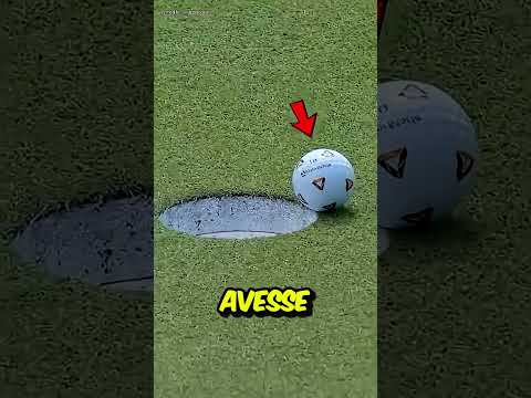 Il golfista che vinse un milione grazie a una mosca ๐๏ธโโ๏ธ๐