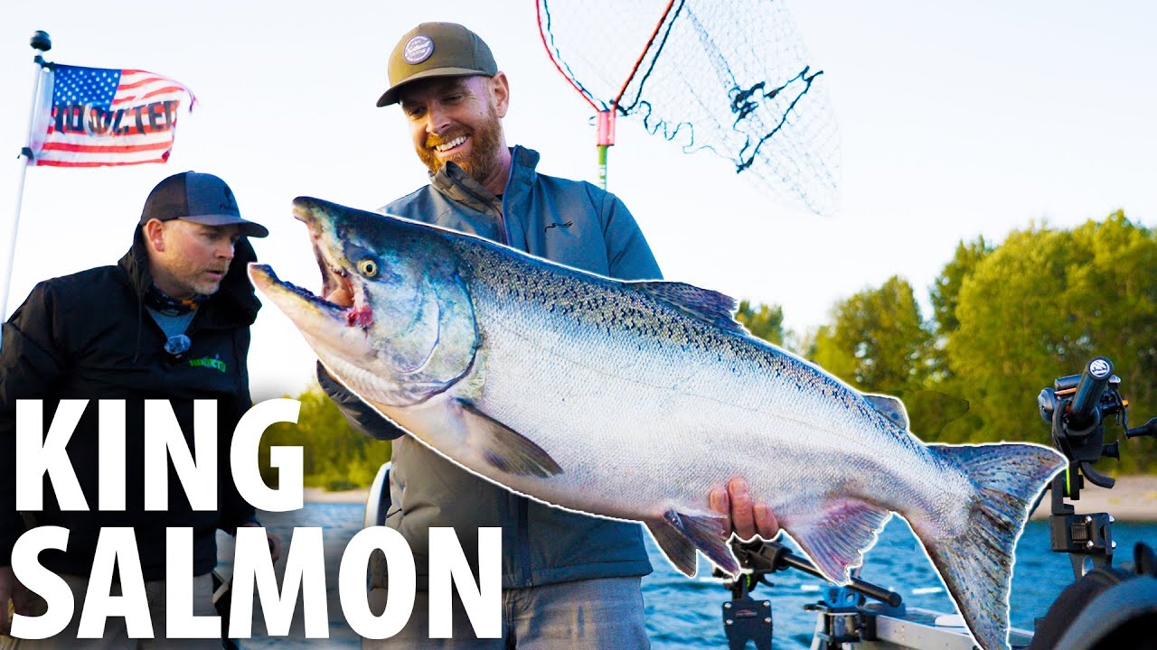INSANE 360 Fishing for HUGE SALMON w/ AddictedFishing (CATCH CLEAN COOK)