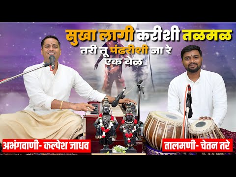 वारी विशेष अभंग - sukha lagi karishi talamal | सुखा लागी करिसी तळमळ, तरी तू  पंढरीशी जाय एक वेळ