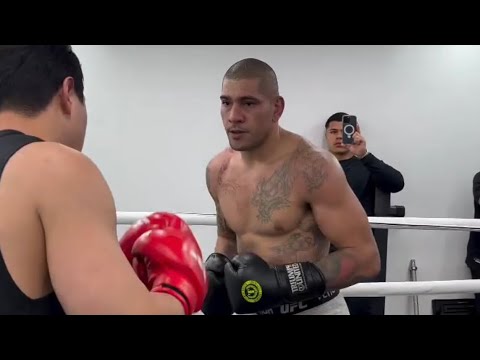 ALEX PEREIRA HARD SPARRING A PRO BOXER IN KOREA