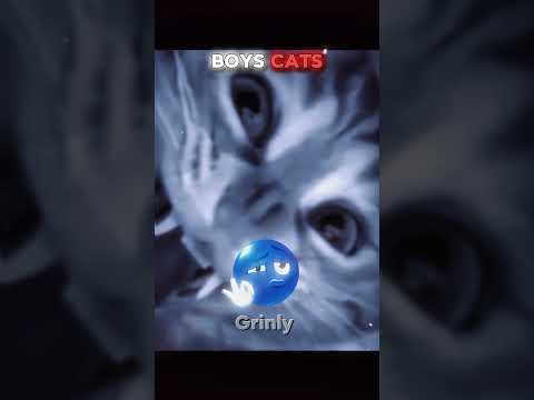 Girls Have Cute Cats Boys Have This 💀 (Part 2)