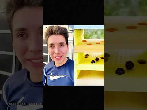 #funny #foryou #fyp #shorts