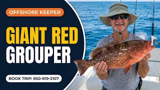 Big red grouper and red snapper fishing with Damon, Ben and Teresa offshore on 9-12-26.