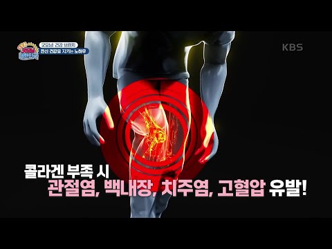 [굿모닝! 건강 브런치] 자식에게 의지하지 않고 살아가는 법 [생방송 굿모닝 대한민국] | KBS 250208 방송