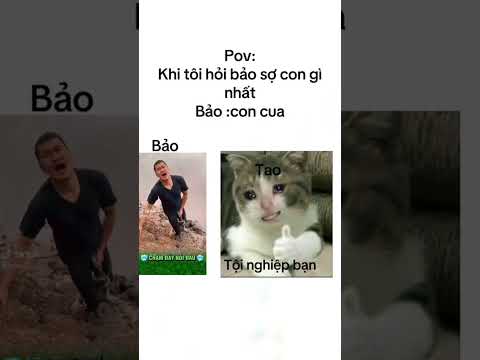 Hãy cảm nhận nỗi đau 🗿 #memes