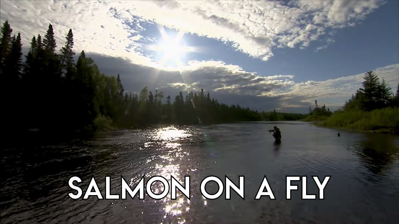 Great Salmon Fishing in Newfoundland - The New Fly Fisher