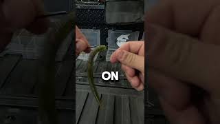 How To Set Up A TEXAS RIG For BASS FISHING