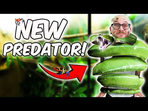I Put a PREDATOR in my 23 Animal Enclosure