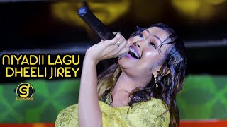 Rumaan Bashka| Niyadii Lagu Dheeli Jirey | Hees Cusub |  2024