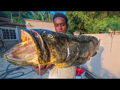 CATCH, CLEAN AND COOK GOLIATH GROUPER!