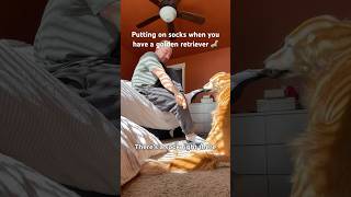 Legend has it I’m still trying to put on my sock