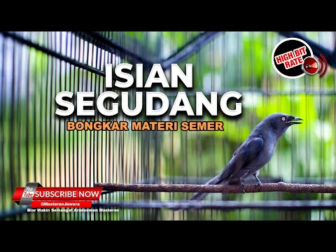 🔴MASTERAN SRIGUNTING ABU ABU GACOR FULL BONGKAR ISIAN