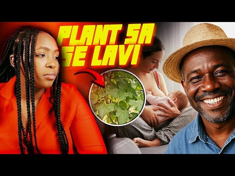 Avanw Kouri Di Granmoun yo te sòt..Gad sa yo fè ak yon plant pou Geri ti Bebe /Fouco