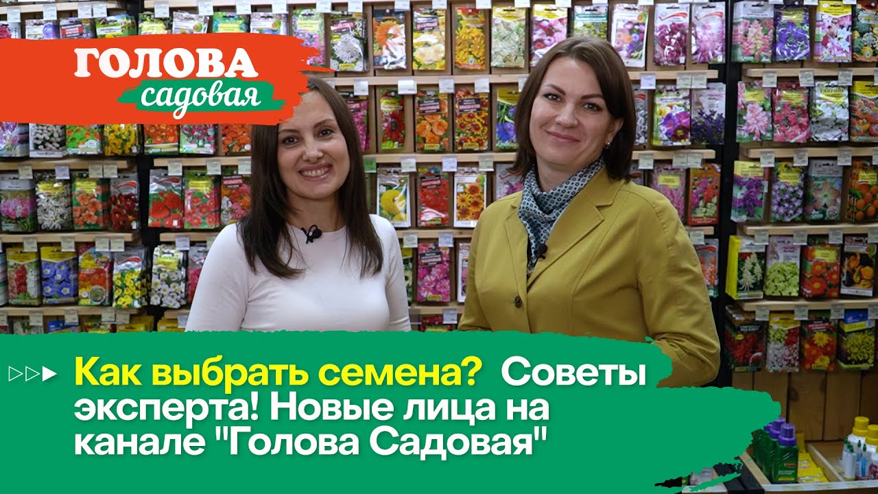 Как выбрать семена? Советы эксперта! Новые лица на канале Голова Садовая