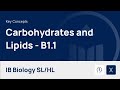 Biological Molecules and Their Functions