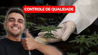 Controle de Qualidade em Flores Medicinais