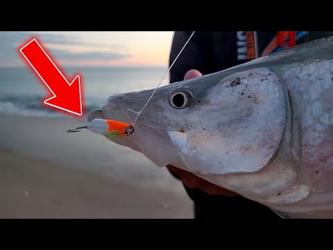 Have You Tried this Fishing Lure? - Surf Fishing