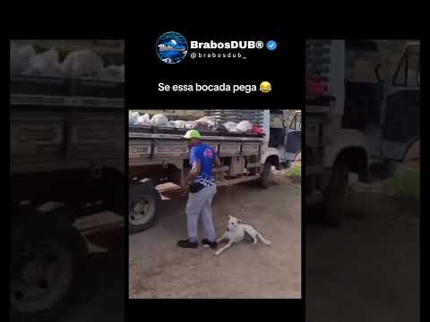 Sai cachorroo 😂 #brasil #humor #comedia #shorts #youtubebrasil #brabosdub #dog #construção   Brabos