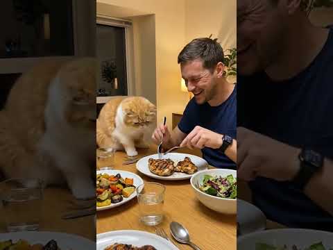 🐱😡 Banada Ver Vicdansız ☺