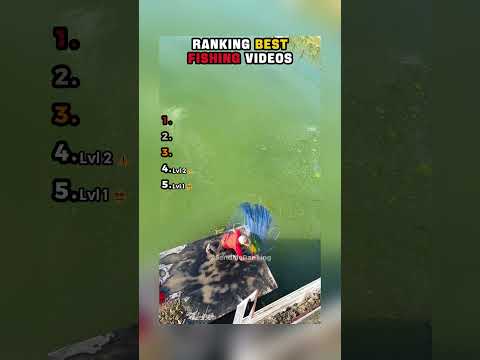 Ranking Best Fishing Videos 🎣 #fishing #tiktok #viralvideo