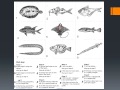 Exploring Dichotomous Keys
