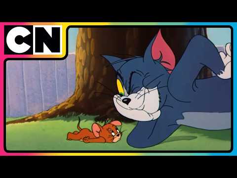 Tom and Jerry 😺🐭| Tom & Jerry’s Stay-At-Home Madness! 😆 | Cat and the Mouse Cartoon 😍| @cnindia