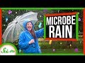 Microbes and Pathogens in the Atmosphere