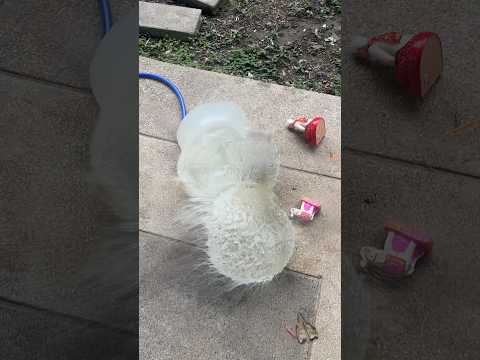 บูรพา…จะอดทนได้แค่ไหนกันนะ 💦💥 #บูรพา #โนบิคิม