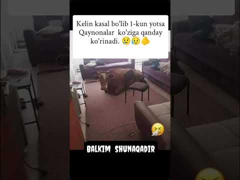 respekt #duet #shayxrahmatullohtermiziy #ibrat #funny #tezkunda #stitch #memes #automobile #rek #sad