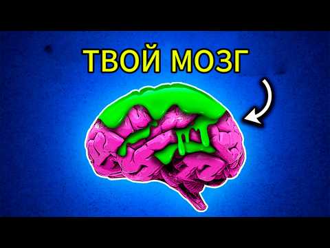 5 ФАТАЛЬНЫХ ОШИБОК, которые РАЗРУШАЮТ ваше ПСИХИЧЕСКОЕ ЗДОРОВЬЕ #отношения  #психология #мозг