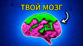 5 ФАТАЛЬНЫХ ОШИБОК, которые РАЗРУШАЮТ ваше ПСИХИЧЕСКОЕ ЗДОРОВЬЕ #отношения  #психология #мозг