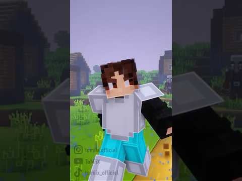 Ce genre de personnes sur Minecraft