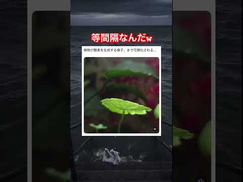 神秘的やな #shorts#tiktok#Twitter#おもしろ#お笑い#おすすめ#酸素 #呼吸 #二酸化炭素 #面白い#おもしろ動画#爆笑#バズれ