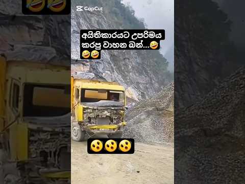 වාහනය පව් කියලා හිතුනේ මට විතරද 🤣 #automobile #srilanka #1millon #trending #bus #shortfeed