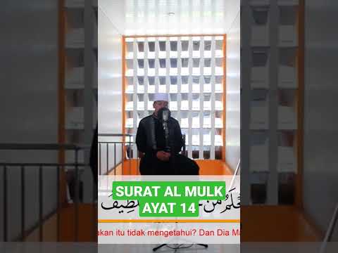 SURAT AL MULK AYAT 14 | MUROTTAL ALQURAN MERDU #Shorts