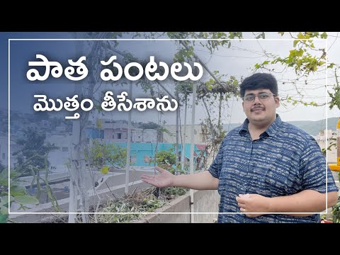 పాత పంటలు అన్నీ తీసి కుండీలు ఖాళీ చేశాం