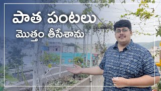 పాత పంటలు అన్నీ తీసి కుండీలు ఖాళీ చేశాం