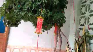 Chúc mừng năm mới 