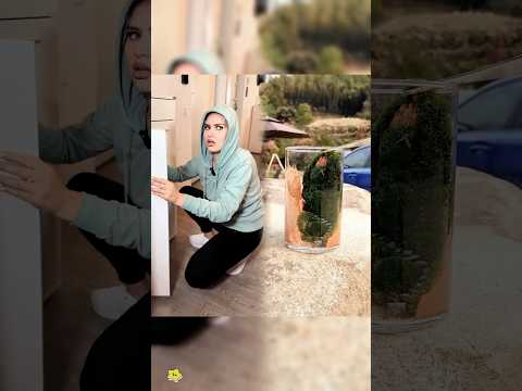 Merge treaba la furat