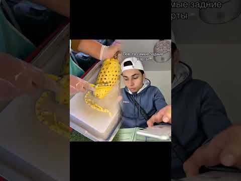 Тгк: тихий дом керы #kera_offf4