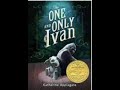 Understanding the Narrator's Perspective