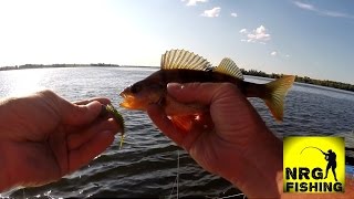 видео