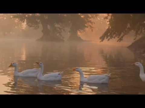 Chhattisgarh Tourism- Land Full of Surprises