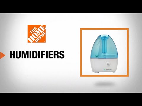 Best Humidifier for Your Home 