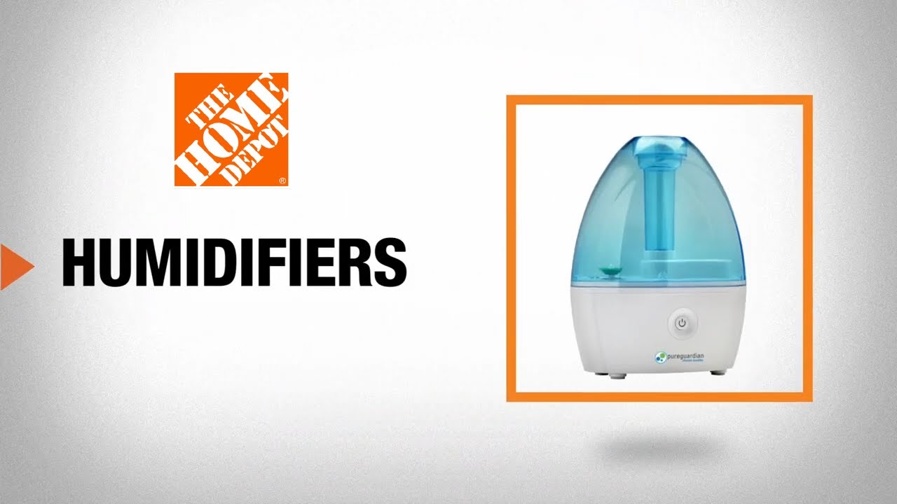 Best Humidifier for Your Home 