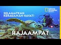 Indonesia's Marine Ecosystem and Conservation