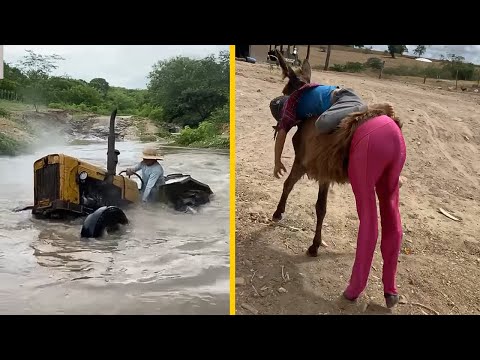 AS LOUCURAS E TRAPALHADAS MAIS ENGRAÇADAS DE QUEM MORA NA ROÇA!