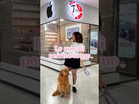 COMPRÉ EL IPHONE QUE MI PERRA ELIGIÓ📱🐶 #perros #mascotas #goldenretriever #iphone #apple #iphone16